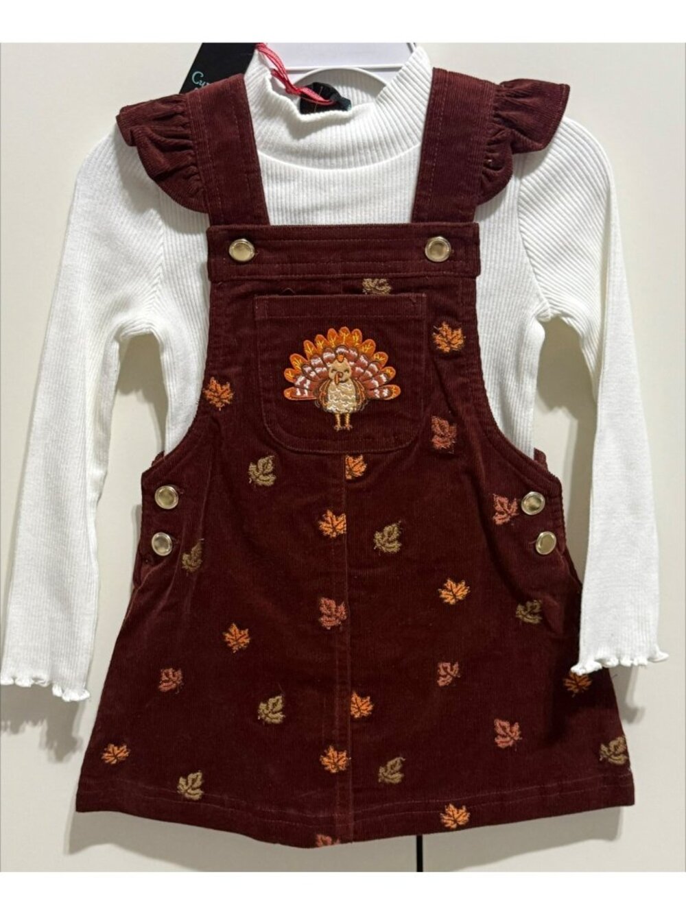 Cynthia Rowley 18m 24m NWT Thanksgiving Turkey corduroy embroidered dress set